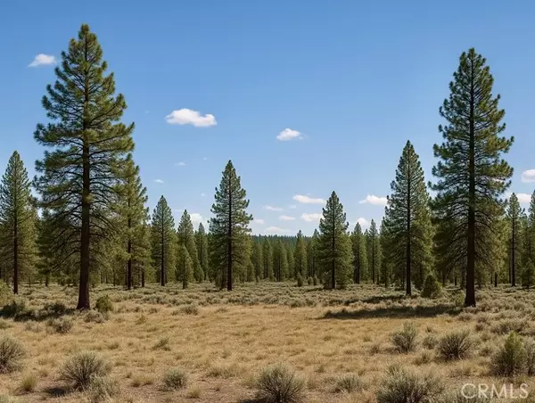Alturas, CA 96101,0 California Pines Blvd