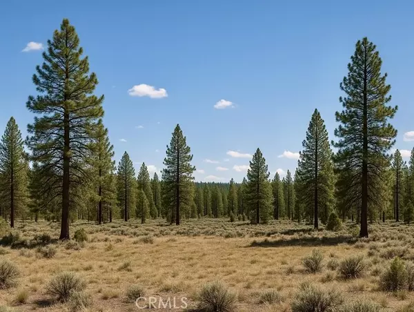 Alturas, CA 96101,0 California Pines Blvd