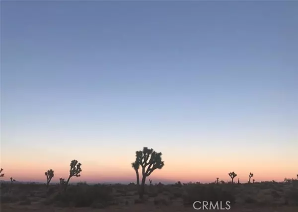 Palmdale, CA 93552,9044 E E Palmdale BLD