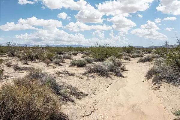 Joshua Tree, CA 92252,0 Brants Cross RD