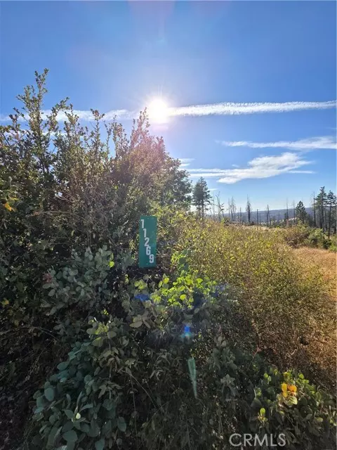 Oroville, CA 95965,11269 Dawn TER