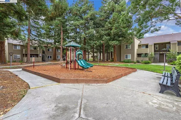 Fremont, CA 94536,3397 Foxtail Ter