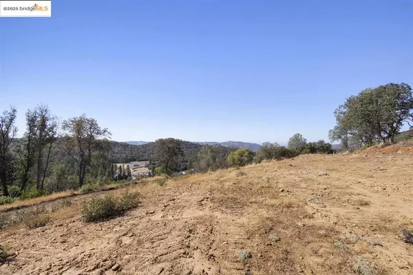 Big Oak Fl, CA 95305,17880 State Highway 120