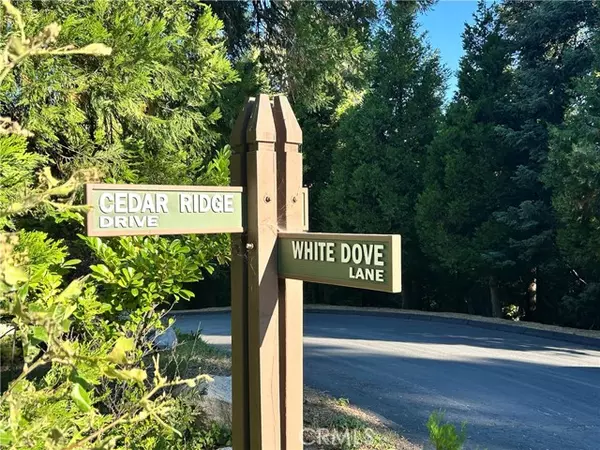 Lake Arrowhead, CA 92352,28980 White Dove LN
