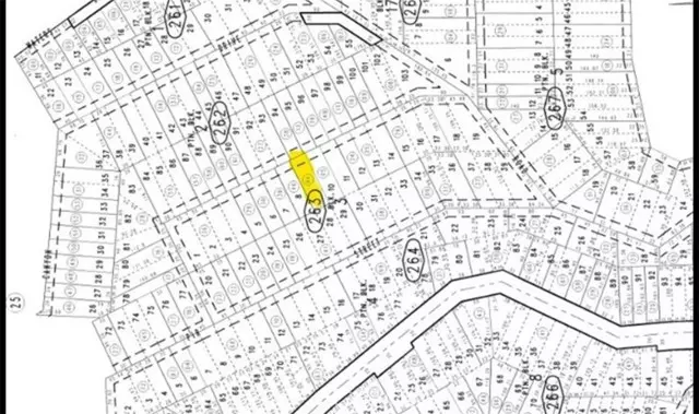 Cedarpines Park, CA 92322,0 Fir ST