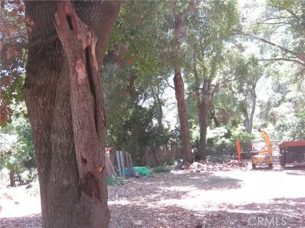 Kelseyville, CA 95451,7979 Buckingham CT