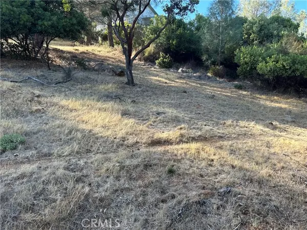 Kelseyville, CA 95451,9658 Fairway DR