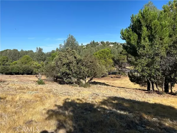 Kelseyville, CA 95451,9658 Fairway DR