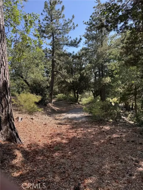 Angelus Oaks, CA 92305,0 Ca-38