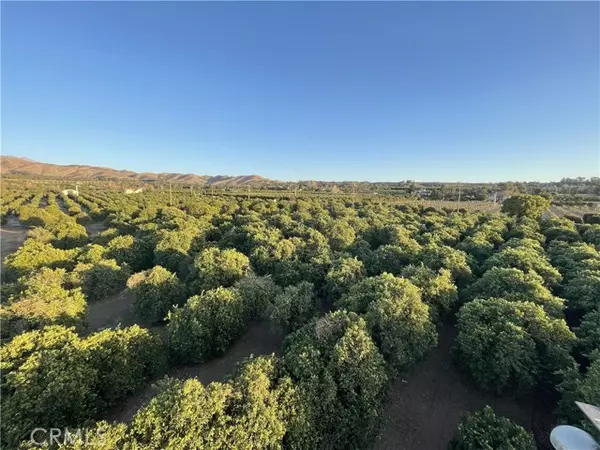 Redlands, CA 92374,31252 Citrus AVE