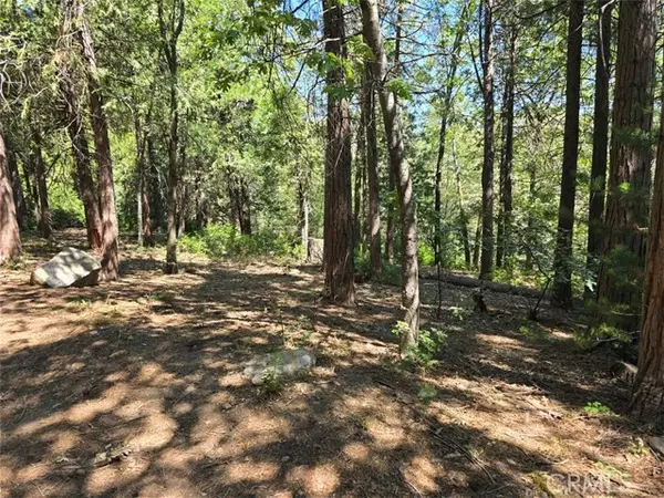 Cedarpines Park, CA 92322,0 Lovers LN