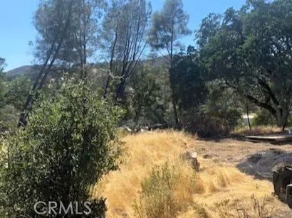 Clearlake Oaks, CA 95423,3353 Wolf Creek RD