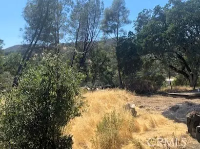 Clearlake Oaks, CA 95423,3353 Wolf Creek RD