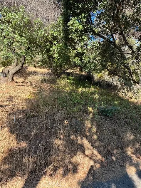 Clearlake Oaks, CA 95423,12588 Widgeon WAY