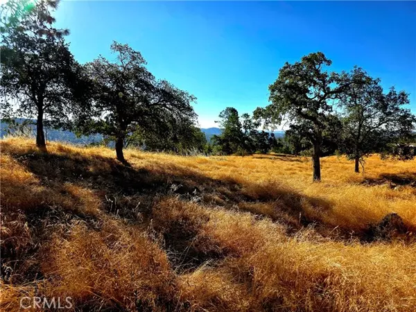 Coarsegold, CA 93614,1 Lilley Mountain DR