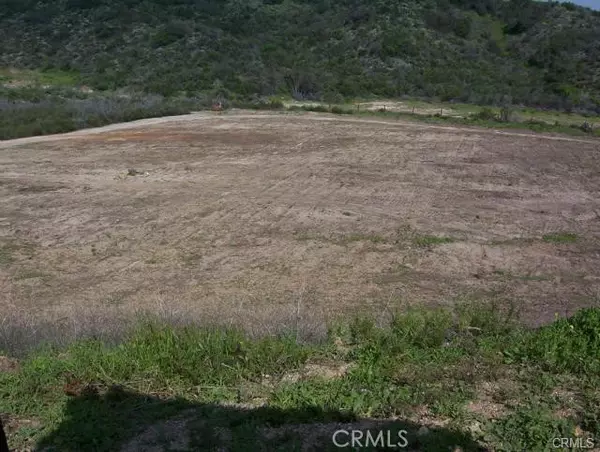 Lake Elsinore, CA 92530,0 Carver LN