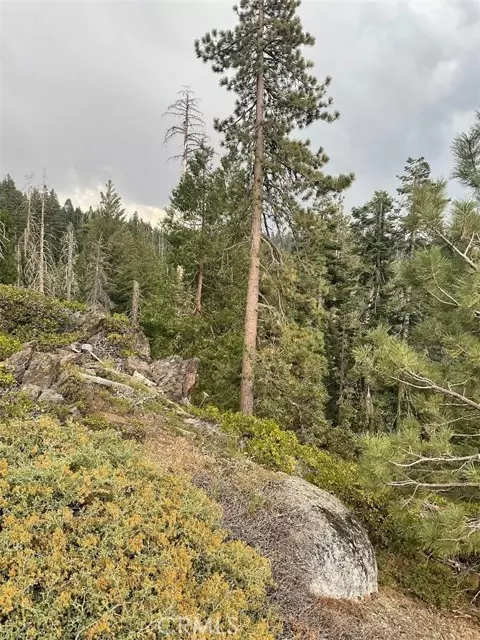 Arnold, CA 95223,778 Yuroc Dr