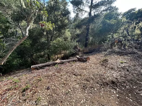 Cambria, CA 93428,2977 Ramsey ST