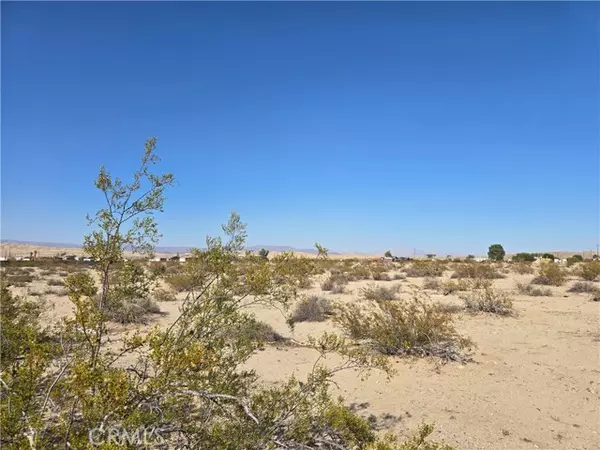 Twentynine Palms, CA 92277,6769 Maude Adams