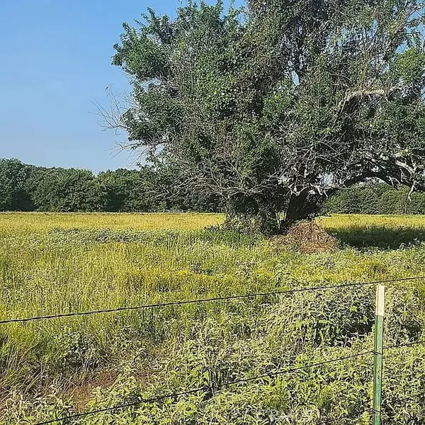 TX 75410,277 Private RD