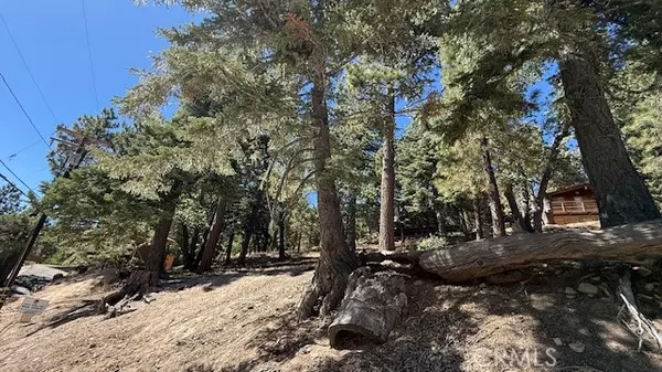 33112 Juniper LN, Green Valley Lake, CA 92341