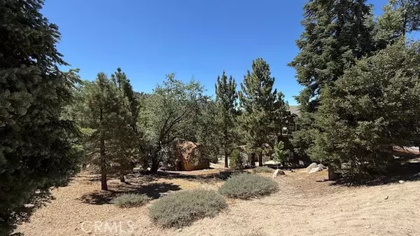 Green Valley Lake, CA 92341,0 Piedras Grande