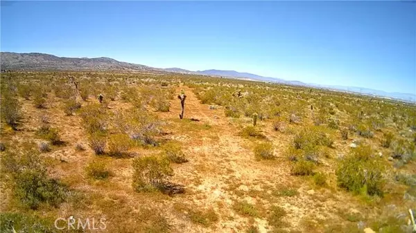 Pearblossom, CA 93543,106 Street E