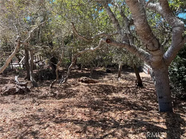 1845 Norwich AVE, Cambria, CA 93428