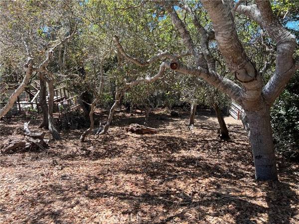 1845 Norwich AVE, Cambria, CA 93428