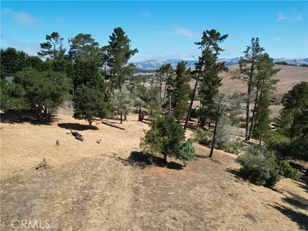 Cambria, CA 93428,0 Londonderry LN