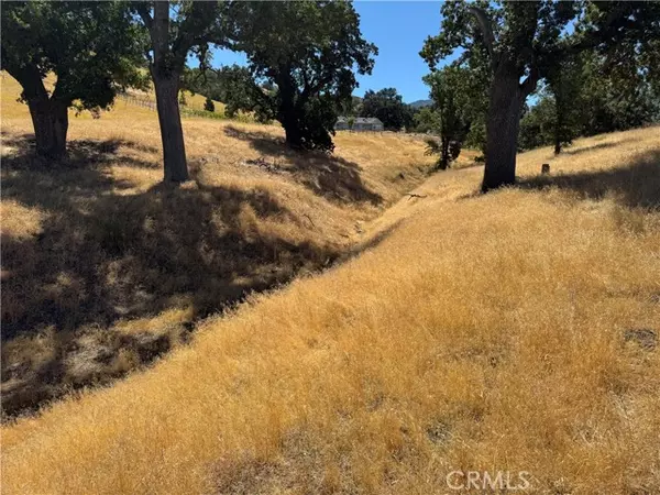 Tehachapi, CA 93561,0 Arosa RD