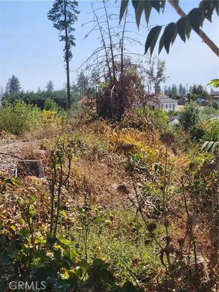 328 Simpson Ranch RD, Berry Creek, CA 95916