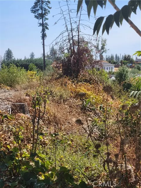 Berry Creek, CA 95916,328 Simpson Ranch RD