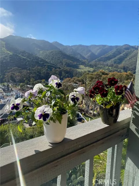 Avalon, CA 90704,113 Tremont ST