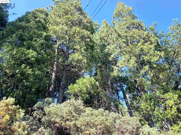 Twain Harte, CA 95383,22558 Confidence RD