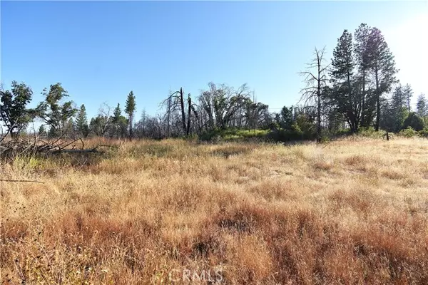 Berry Creek, CA 95916,0 Centurion WAY
