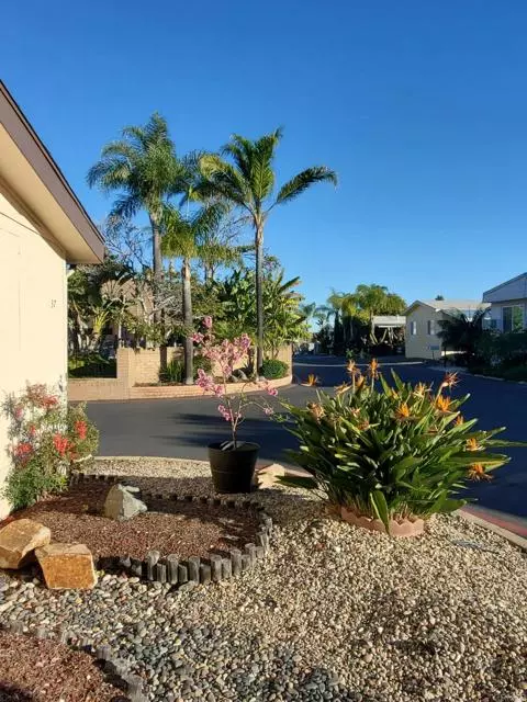 Vista, CA 92083,1333 OLIVE AVE 37