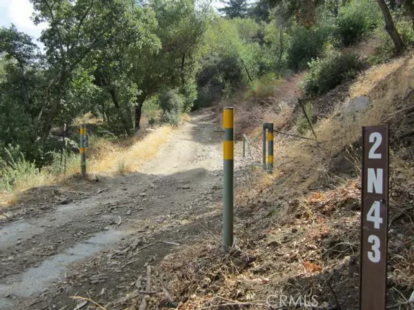 Cedarpines Park, CA 92322,0 Burnt Mill Canyon RD