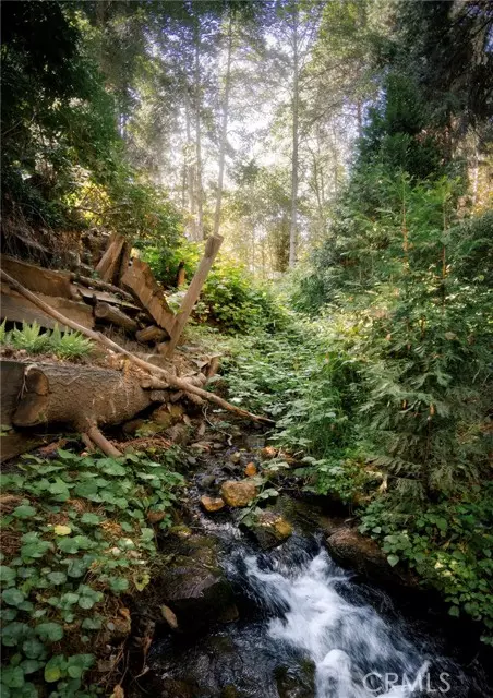 Lake Arrowhead, CA 92352,407 Dolly Varden DR
