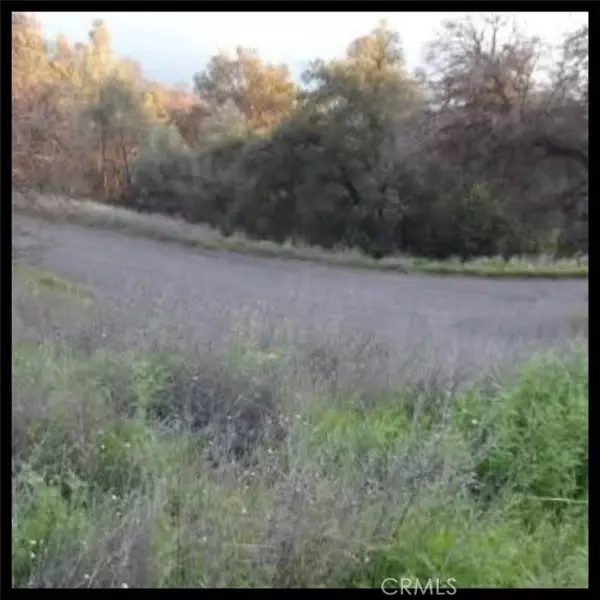 Clearlake Oaks, CA 95423,11860 Lakeview DR