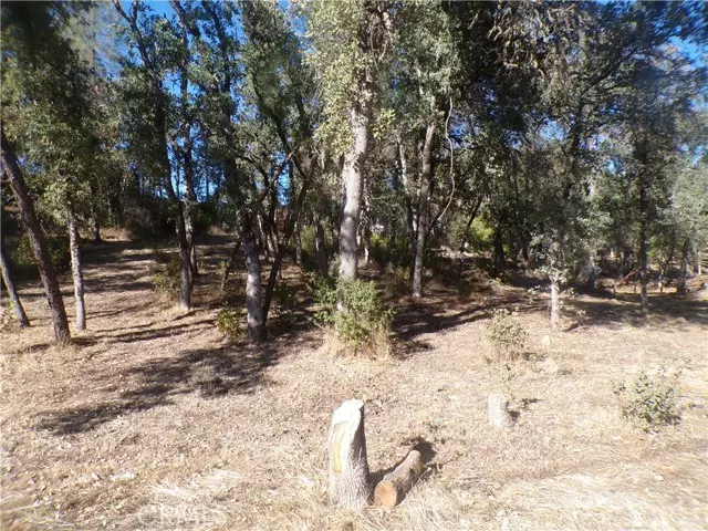 Clearlake, CA 95422,15608 36th AVE