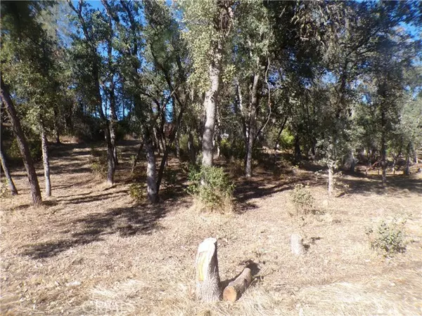 15608 36th AVE, Clearlake, CA 95422