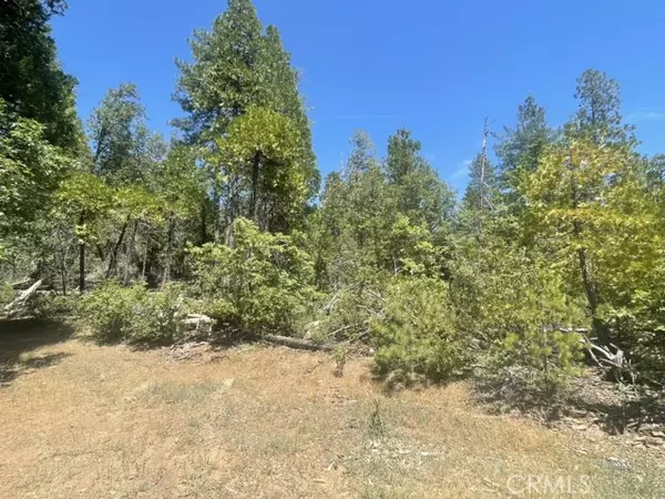 Coulterville, CA 95311,10 Wild Rose