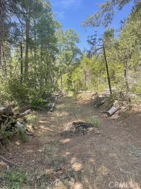 Coulterville, CA 95311,10 Wild Rose