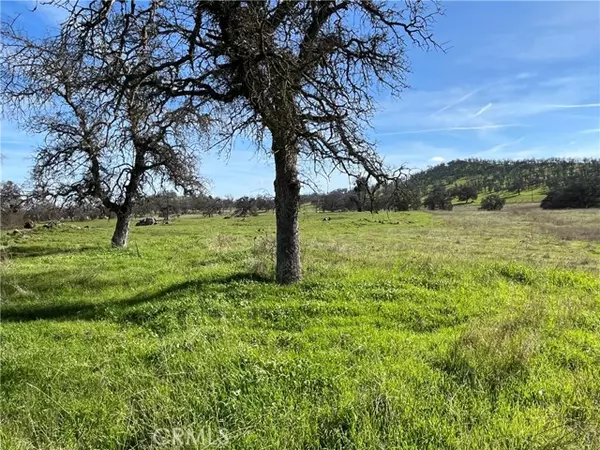 Catheys Valley, CA 95306,2463 Old HWY
