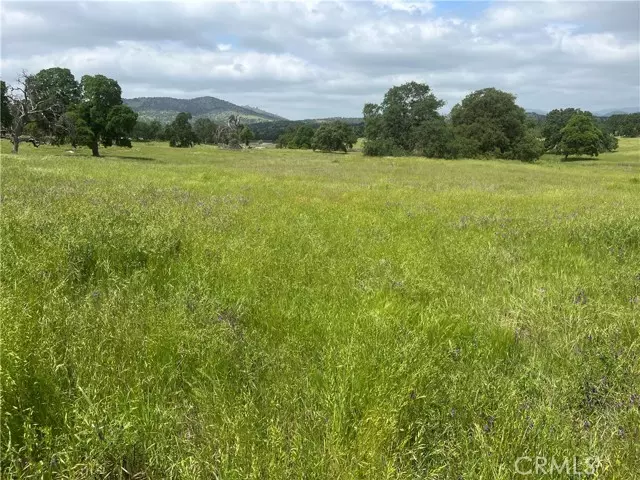 Catheys Valley, CA 95306,2463 Old HWY