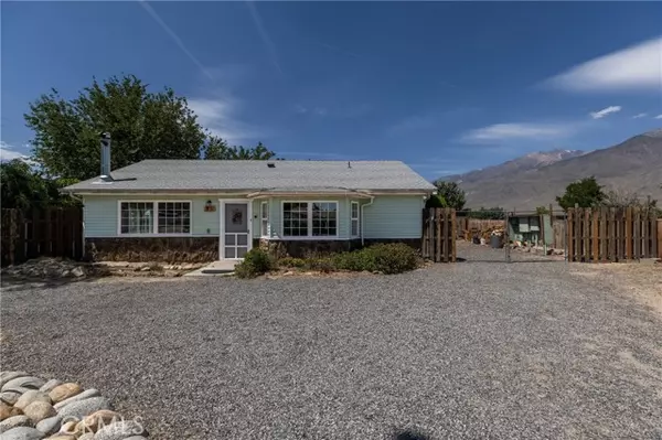 Bishop, CA 93514,95 Mountain VW