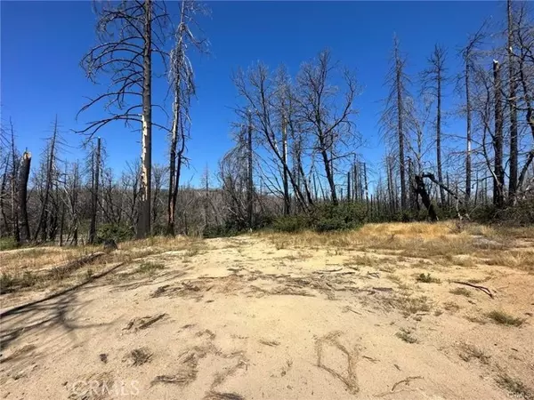 Berry Creek, CA 95916,236 Graystone LN