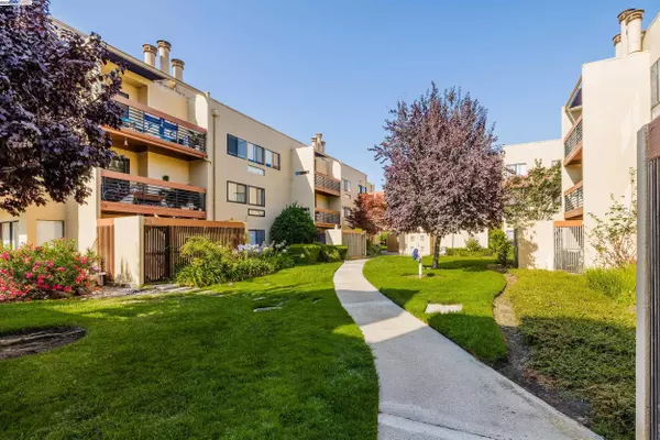 Foster City, CA 94404,918 Beach Park Blvd 53