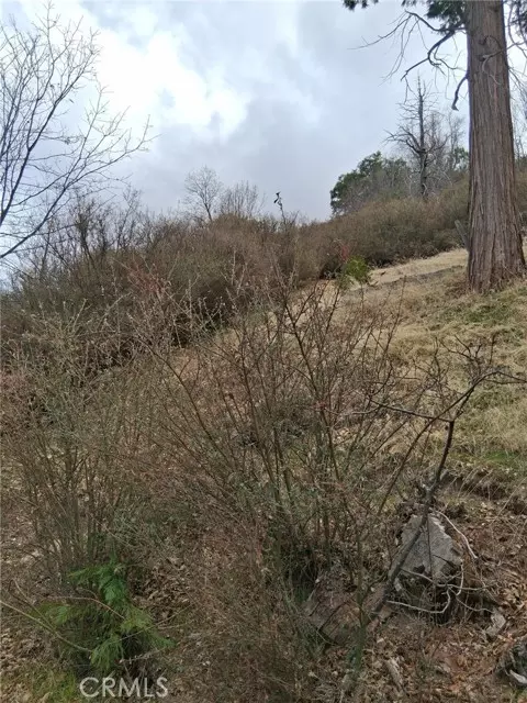 Cedar Glen, CA 92321,0 Pine DR